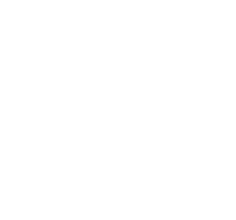 Kagemi Network